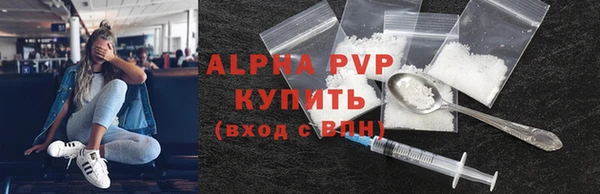 спиды Горняк